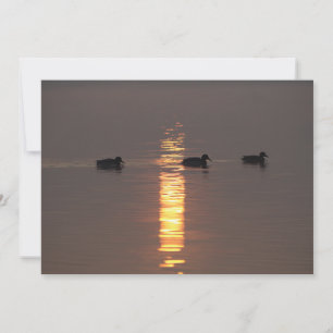 Mallards Invitation
