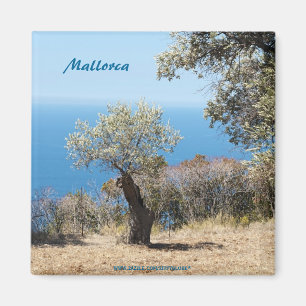 Mallorca Magnets