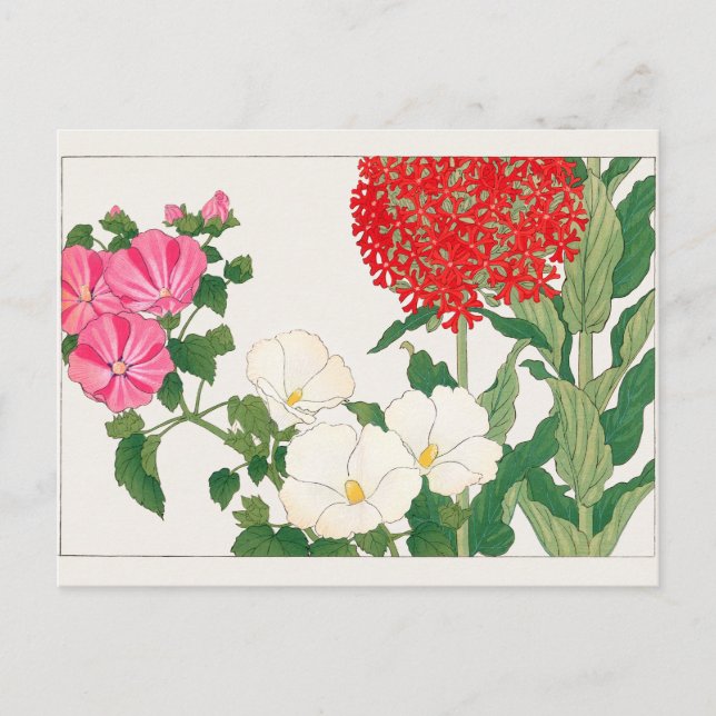 Mallow, Centranthus by Tanigami Konan Postcard (Front)