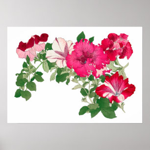 Mallow flower , vintage Japanese art Poster