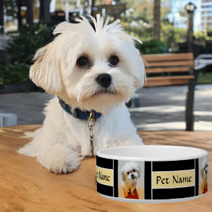 Malshi Black Dog Bowl Customizable