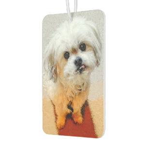 Malshi Dog Air Freshener