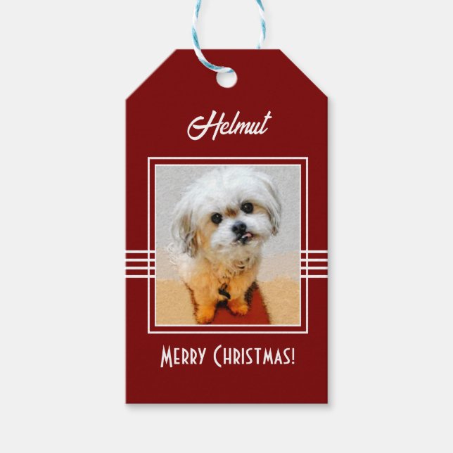 Malshi Gift Tags (Front)