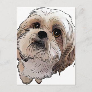 Malshi Mal-shi Postcard