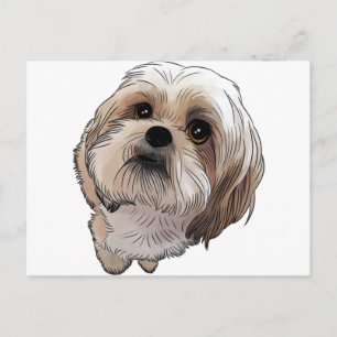 Malshi Mal-shi Postcard