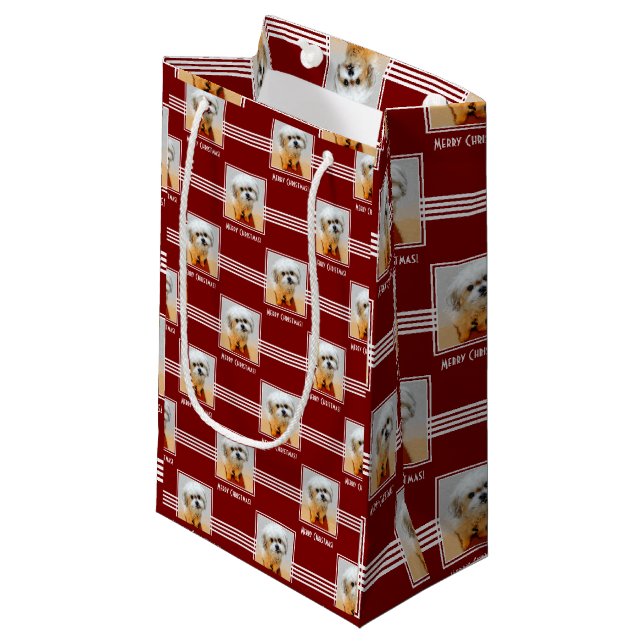 Malshi Tissue Paper Small Gift Bag (Front Angled)