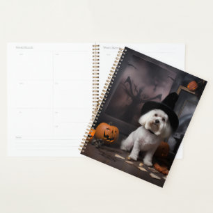 Maltais Citrouille Halloween effroi