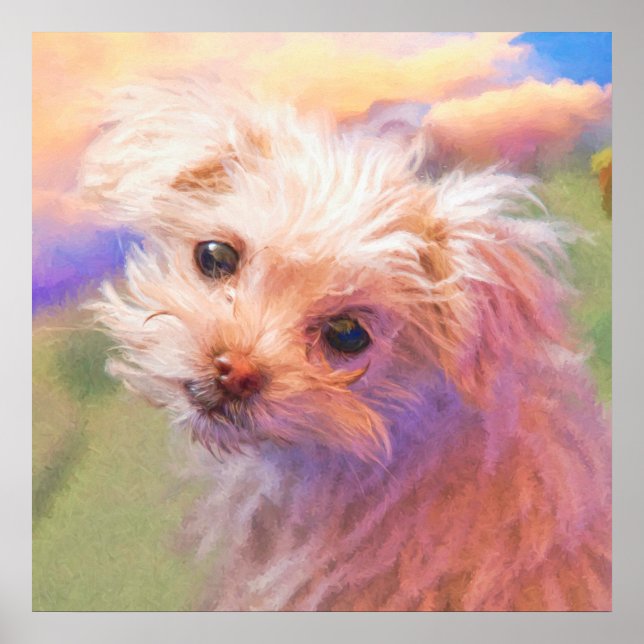 Maltais Secourt Chiot Jour 1 Poster "THE WEE ONE" (Devant)