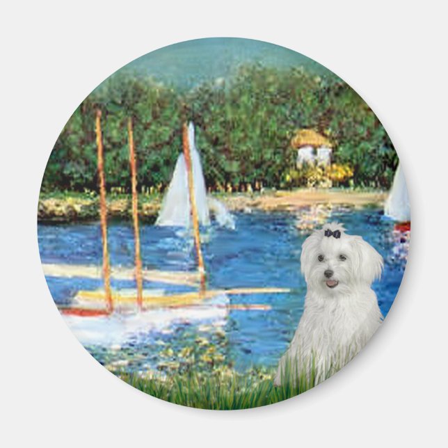 MALTESE 10 - Sailboats Magnet (Front)
