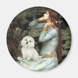 Maltese 11 - Ophelia Seated Magnet