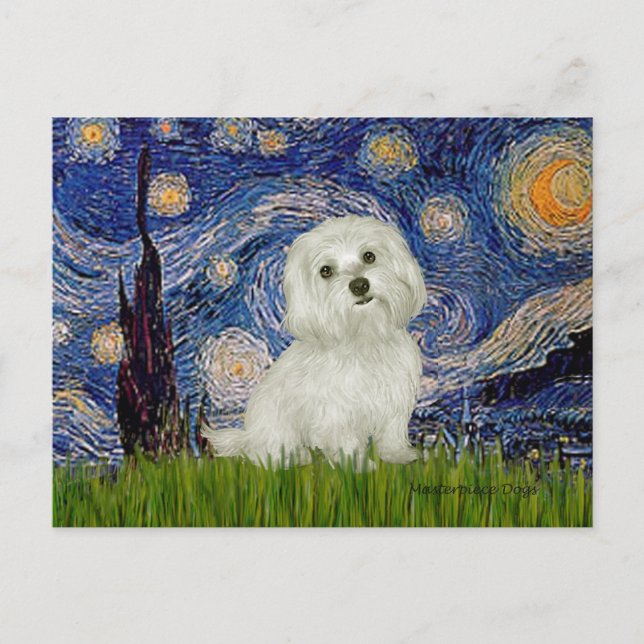 Maltese 11 - Starry Night Postcard (Front)