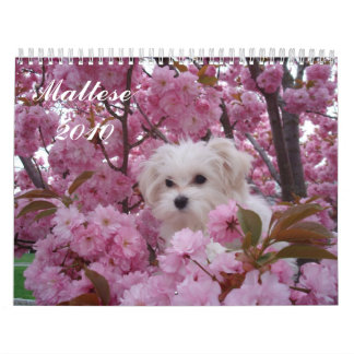 Maltese 2010 calendar