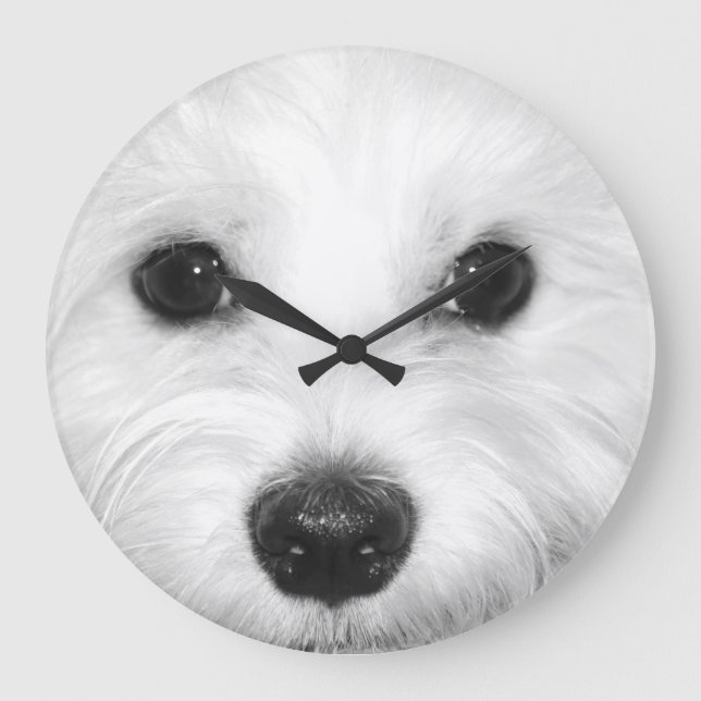 Maltese and His Charming Attributes Nose and Eyes Large Clock (Front)