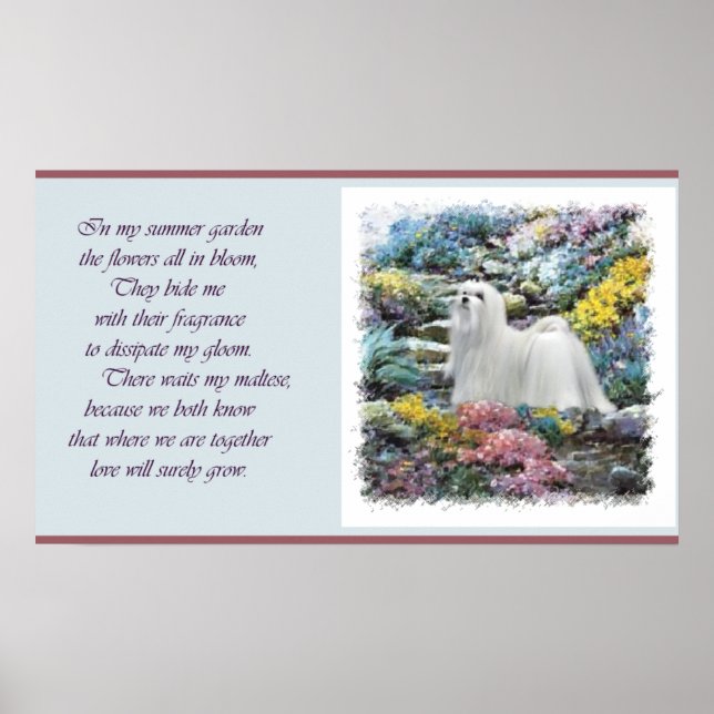 Maltese Art Where Love Grows Poster (Front)