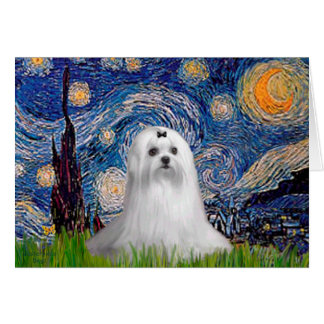 Maltese (C) - Starry Night