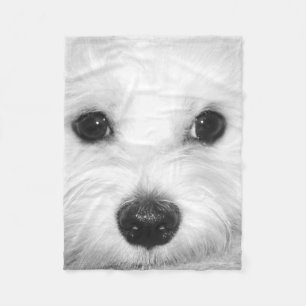 Maltese Charm Adorable Eyes and Nose Fleece Blanket