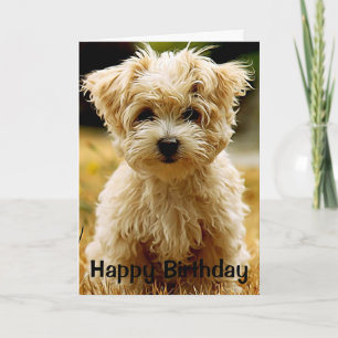 Maltese Chiot Bonne Carte de voeux d'anniversaire