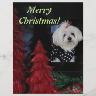 Maltese Christmas Letterhead
