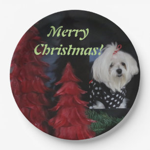 Maltese Christmas Paper Plate