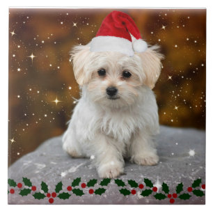 Maltese Christmas Puppy Tile