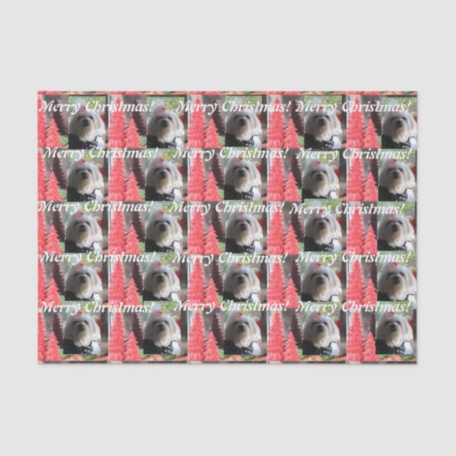 Maltese Christmas with Red Trees Tissue Paper (Front)