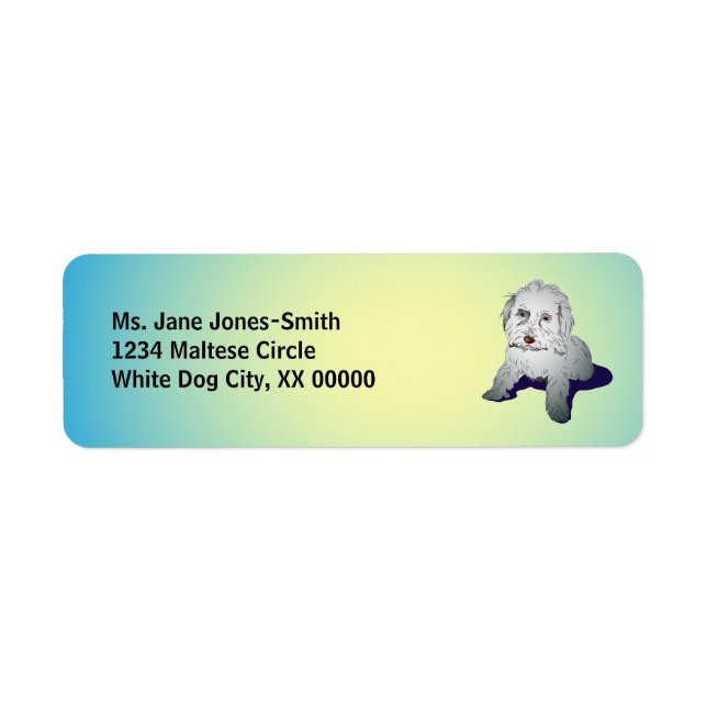 Maltese Cute Puppy (Front)
