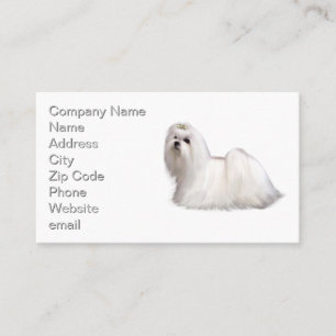 Maltese Dog Business Card