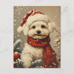 Maltese dog Christmas Postcard