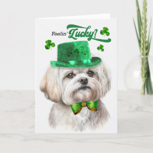 Maltese Dog Feelin' Lucky St Patrick's Day Holiday Card
