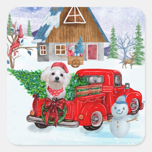 Maltese Dog In Christmas Delivery Truck Snow Square Sticker (Front)