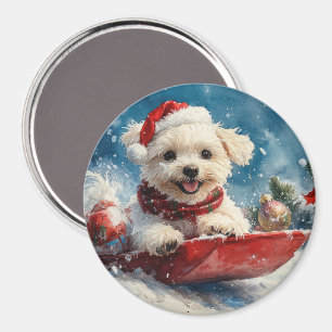 Maltese Dog in Sledge Let it Snow Christmas Magnet