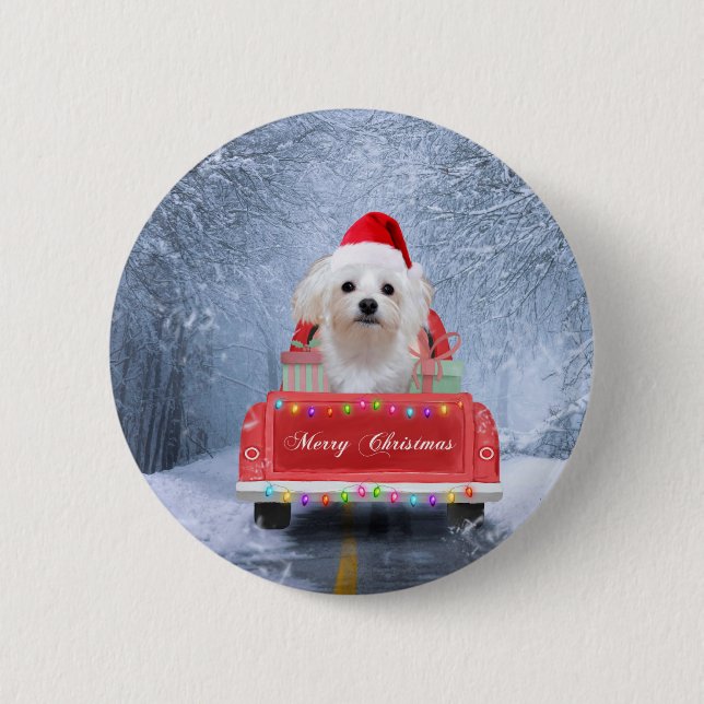 Maltese Dog in Snow sitting in Christmas Truck  2 Inch Round Button (Front)