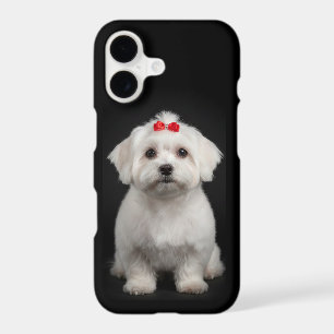 Maltese Dog iPhone Cover, Puppy, Black Style