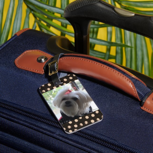 Maltese Dog Luggage Tag (Front Insitu 1)