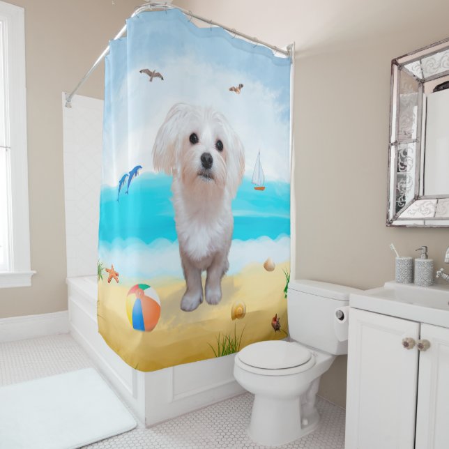 Maltese Dog on Beach (In Situ)