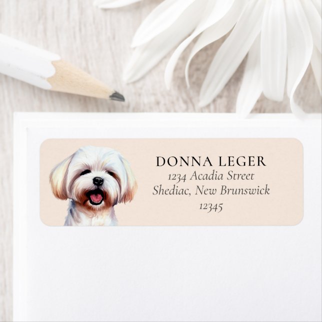 Maltese Dog Personalized Address (Insitu)