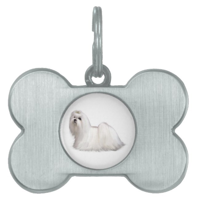 Maltese Dog Pet ID Tag (Front)