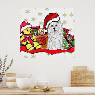 Maltese Dog Poster