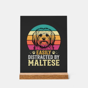 Maltese Dog Retro Sunset Distracted Acrylic Sign