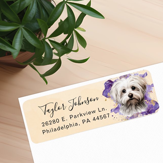 Maltese Dog Return Address Label (Creator Uploaded)