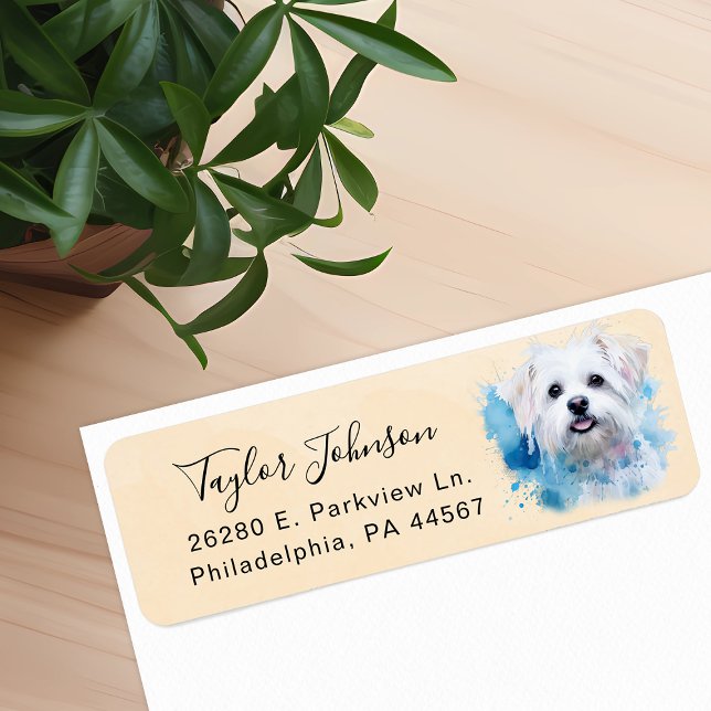 Maltese Dog Return Address Label (Creator Uploaded)
