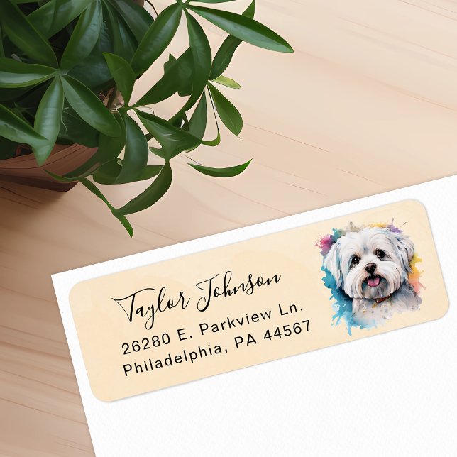 Maltese Dog Return Address Label (Creator Uploaded)