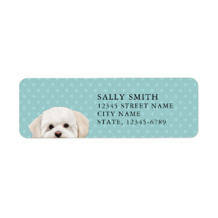 Maltese Dog Return Address Label