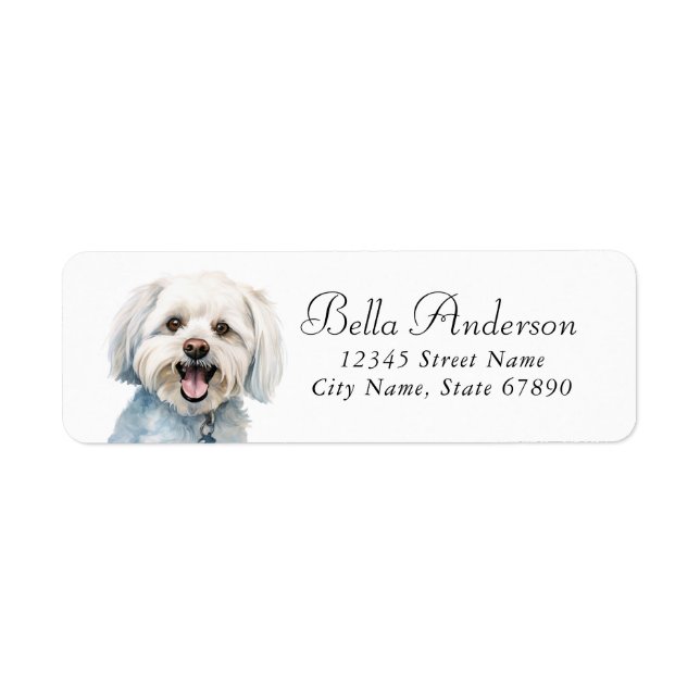 Maltese Dog Return Address Labels (Front)
