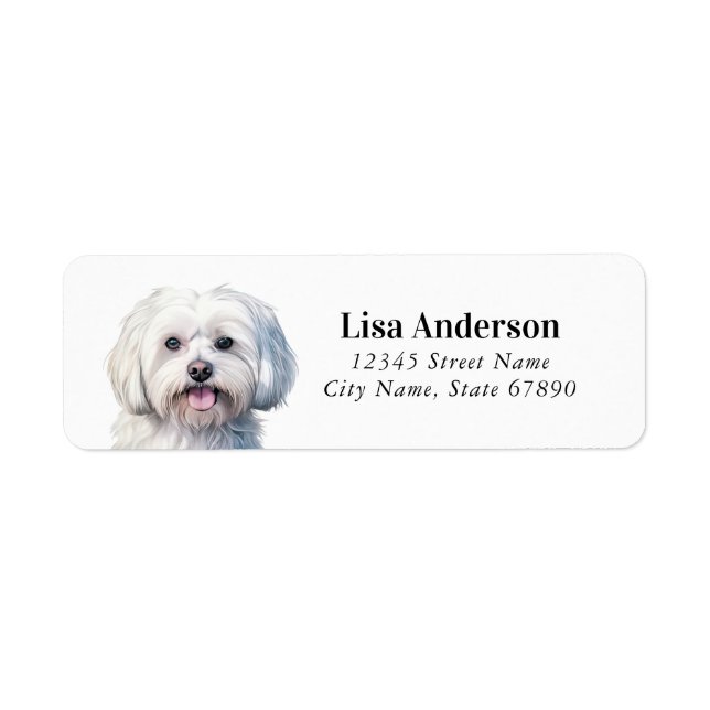 Maltese Dog Return Address Labels (Front)