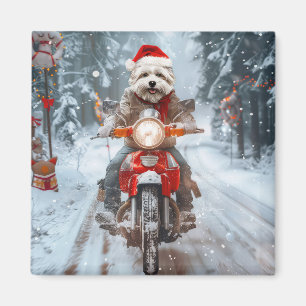 Maltese Dog Riding Motorcycle Christmas Magnet