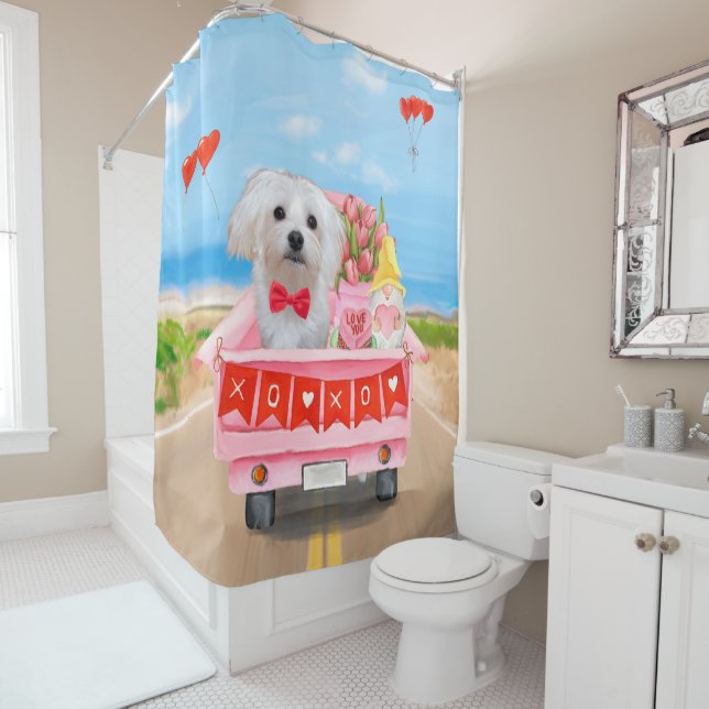 Maltese Dog Valentine's Day Truck (In Situ)
