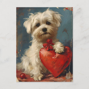 Maltese dog Vintage Valentine's day  Postcard