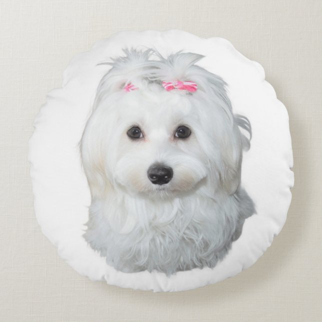 Maltese Dog with Pink Bows Round Pillow (Front)