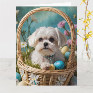 Maltese Easter Eggs Card